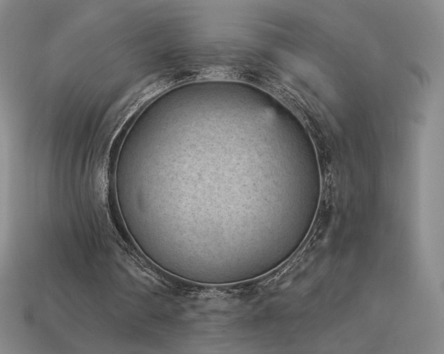 X0000113940290200909251246