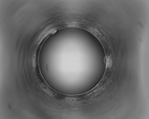 X0000113940291200909251246