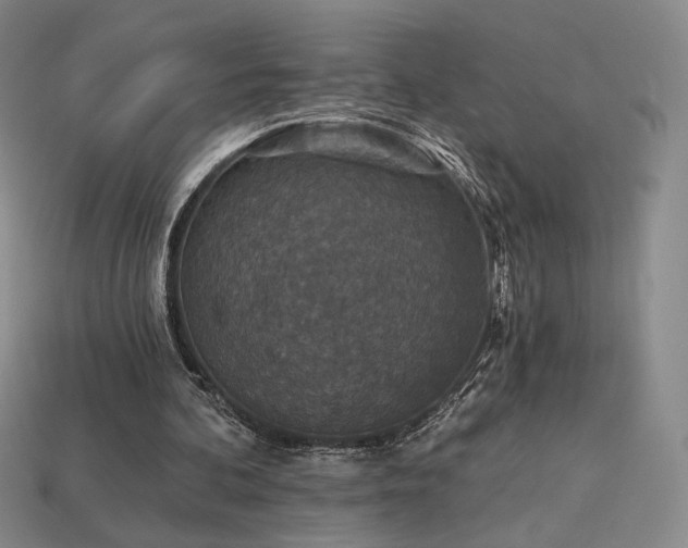 X0000113940292200909251246