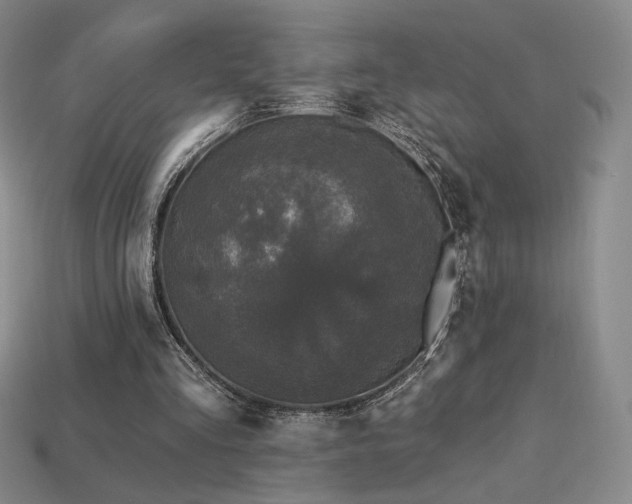 X0000113940293200909251246