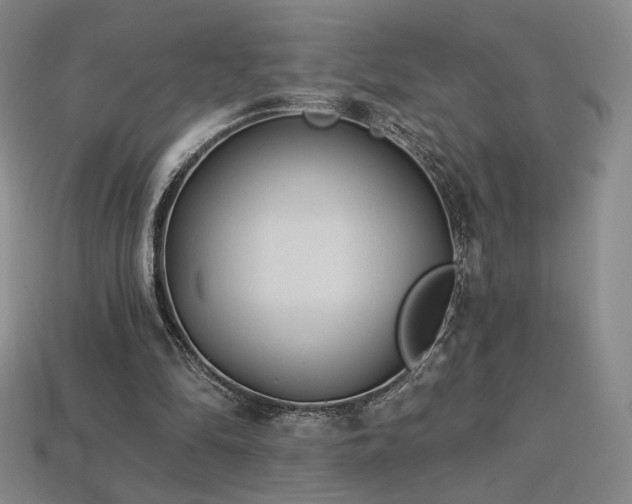 X0000113940294200909251246