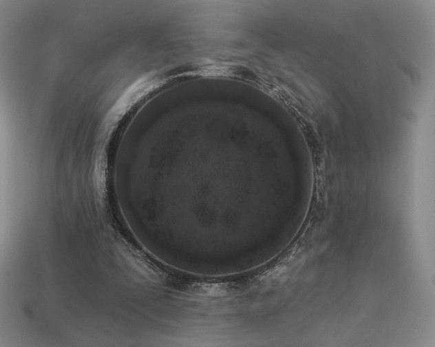 X0000113940295200909251246