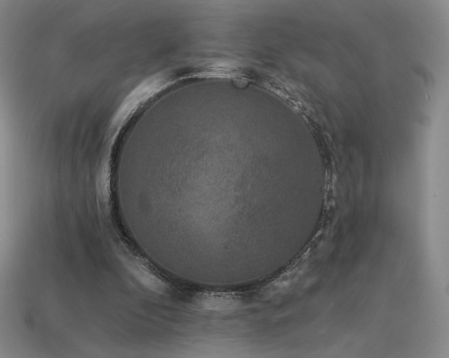 X0000113940296200909251246