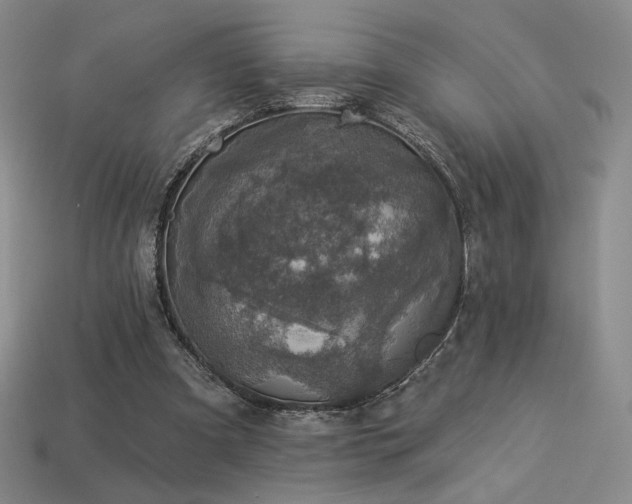 X0000113940297200909251246