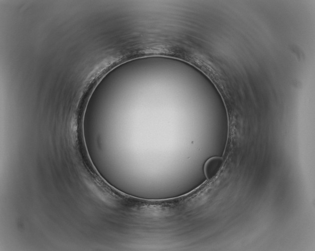 X0000113940298200909251246