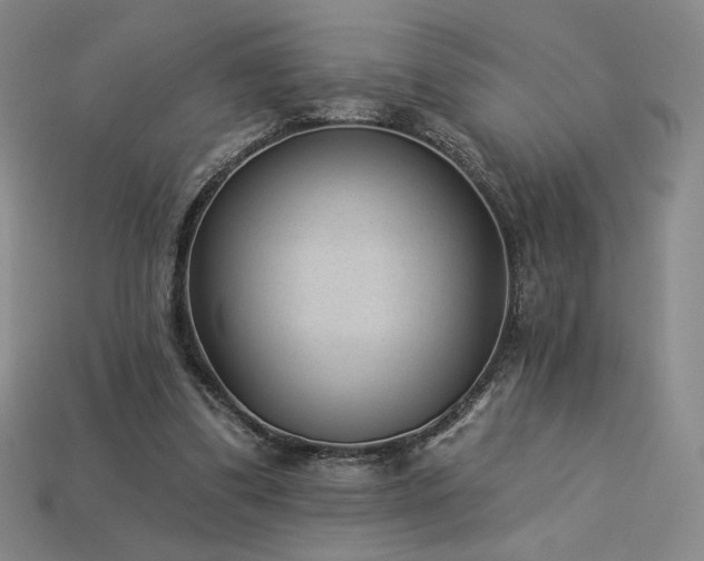 X0000113940299200909251246