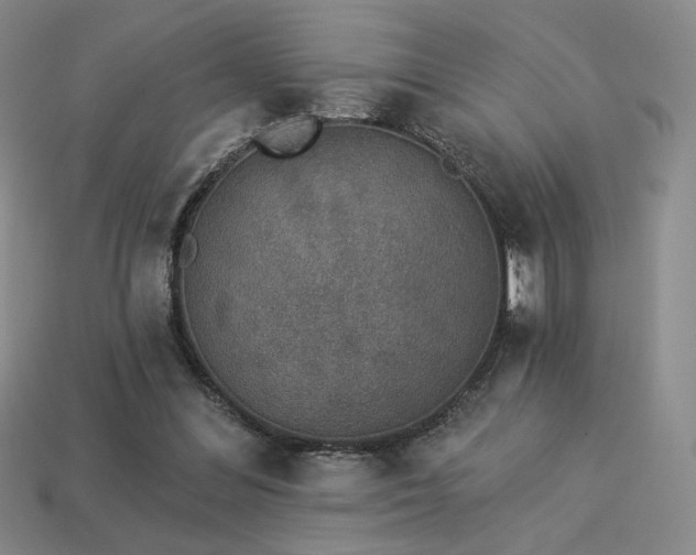 X0000113940300200909251246