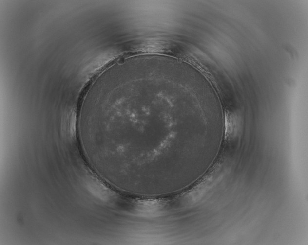 X0000113940301200909251246