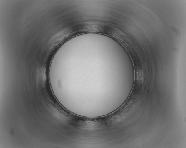 X0000113940302200909251246