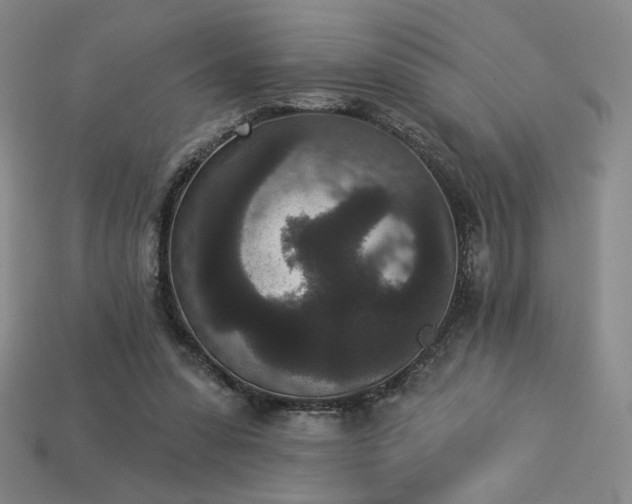 X0000113940303200909251246