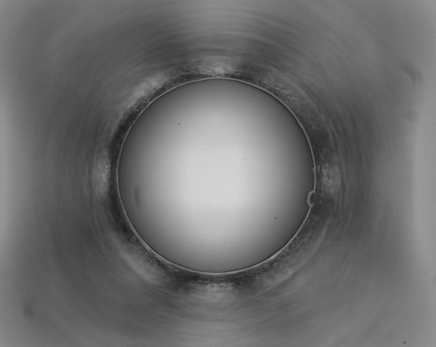 X0000113940304200909251246