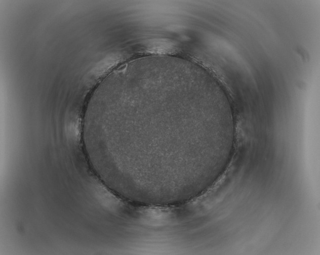 X0000113940305200909251246