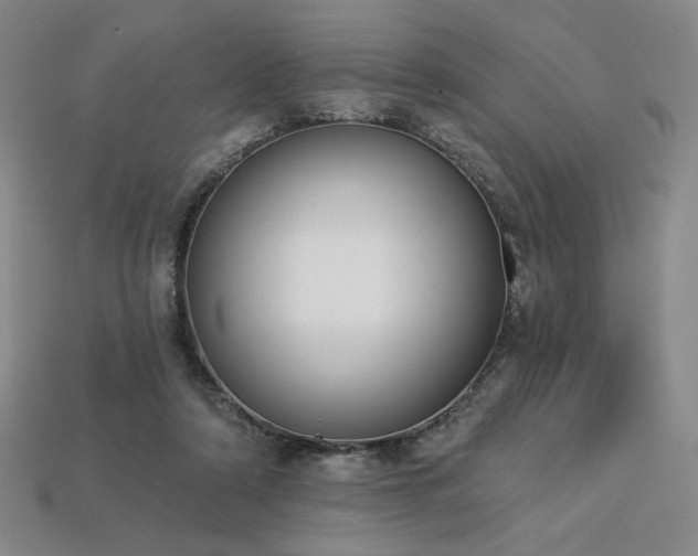 X0000113940306200909251246