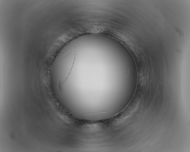 X0000113940307200909251246