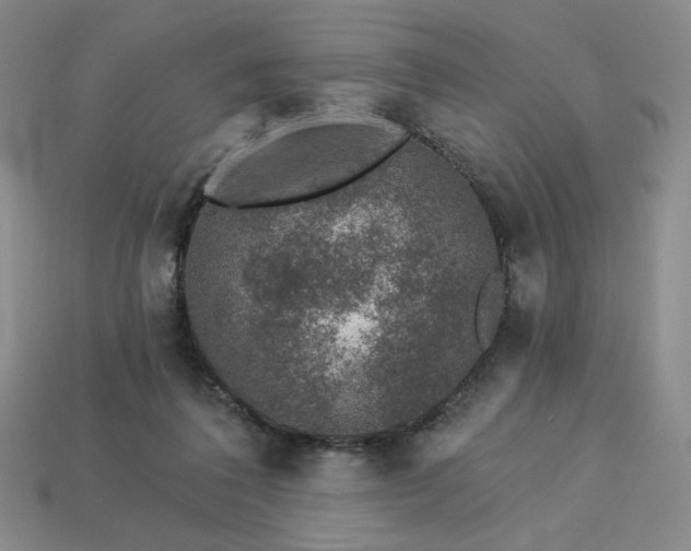 X0000113940308200909251246