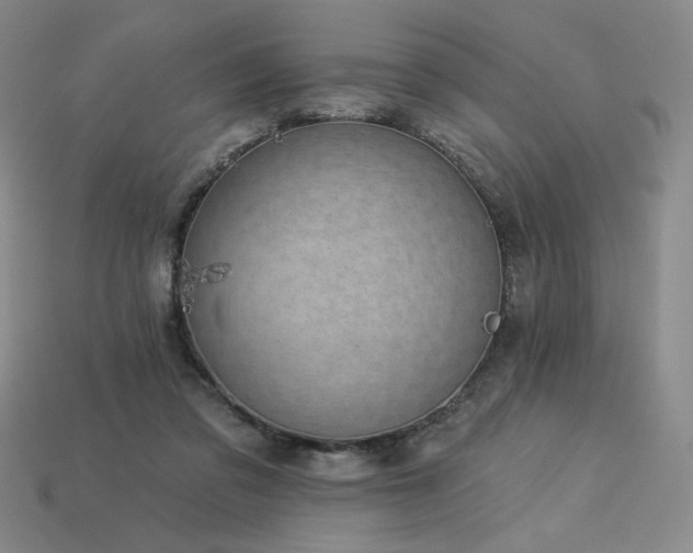 X0000113940309200909251246