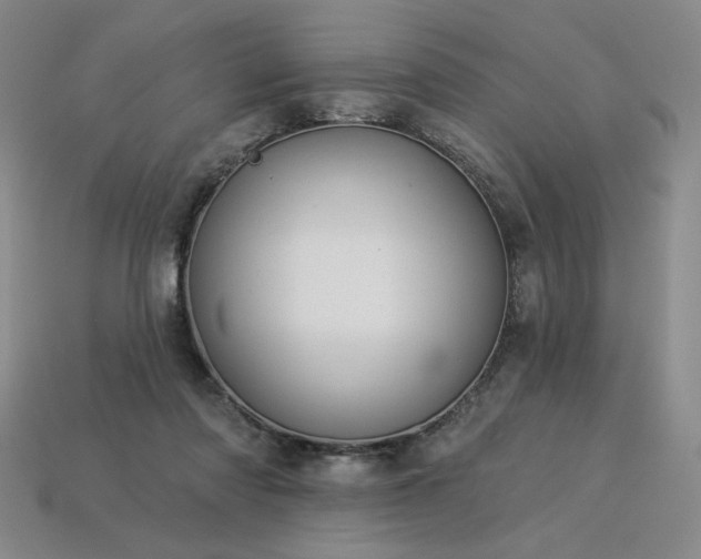 X0000113940310200909251246