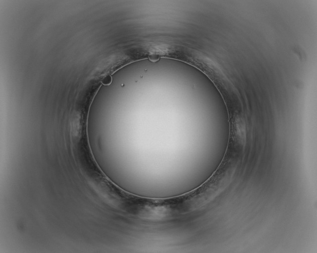 X0000113940311200909251246