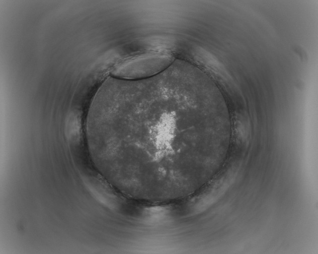 X0000113940312200909251246