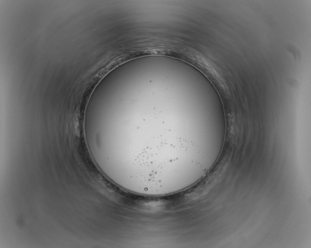 X0000113940313200909251246