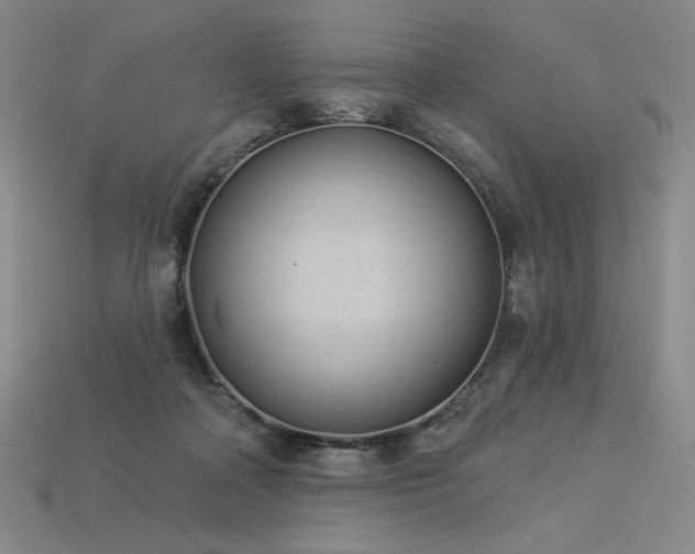 X0000113940314200909251246