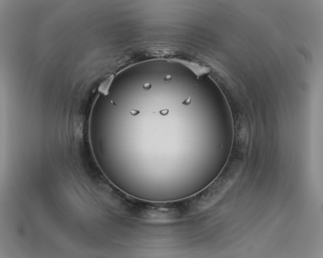 X0000113940315200909251246