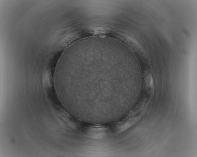 X0000113940316200909251246