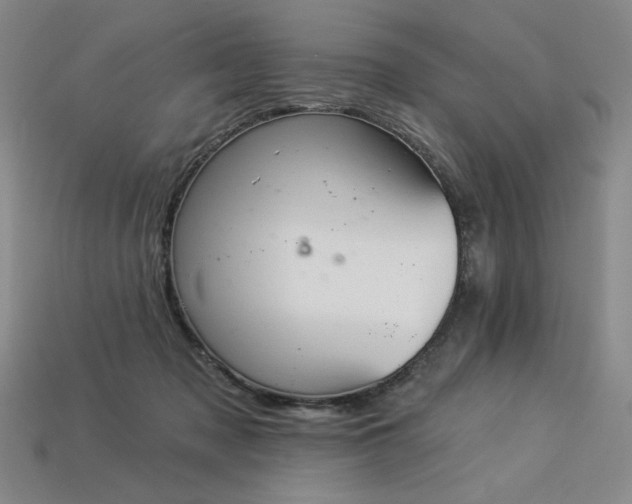 X0000113940317200909251246