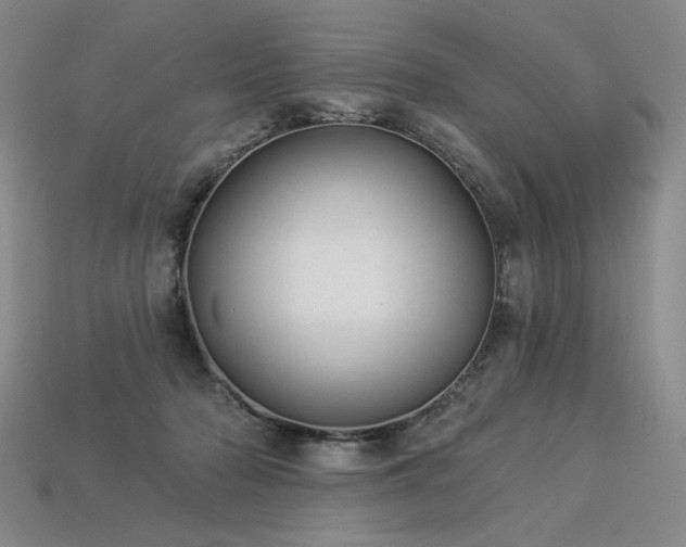 X0000113940318200909251246