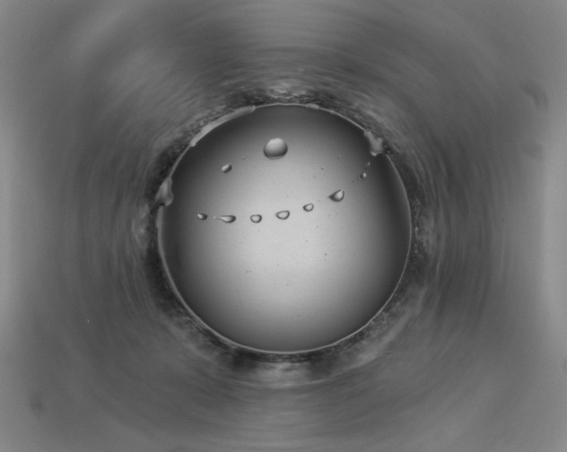 X0000113940319200909251246