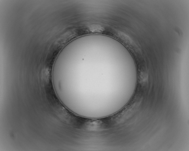 X0000113940321200909251246