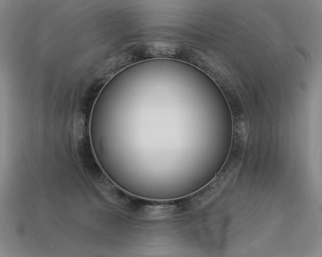 X0000113940323200909251246