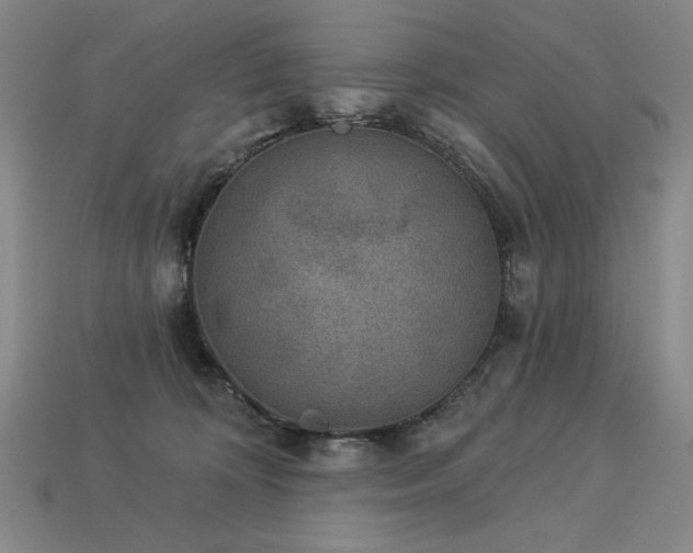 X0000113940324200909251246