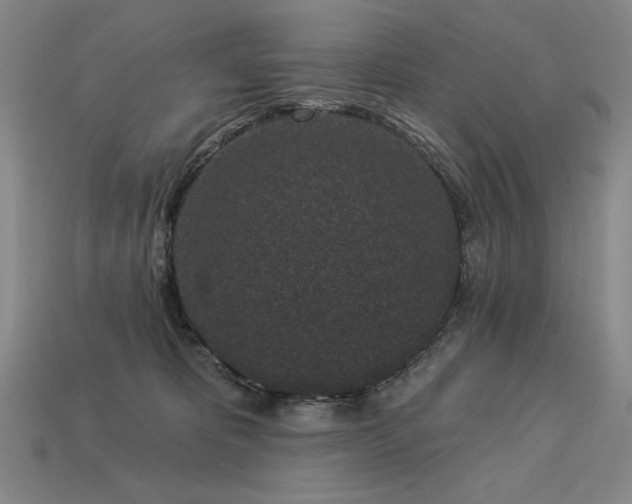 X0000113940325200909251246