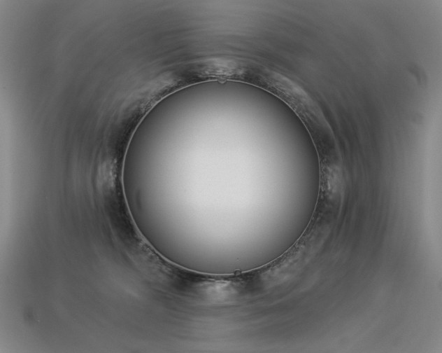 X0000113940326200909251246