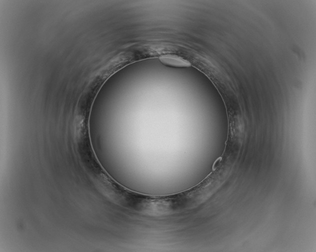 X0000113940327200909251245