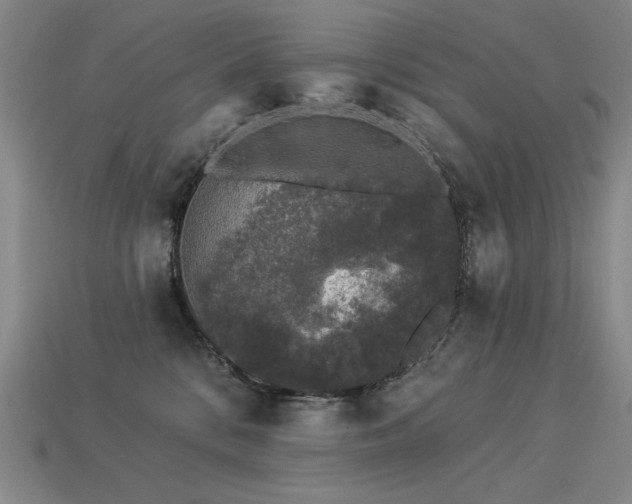 X0000113940328200909251245