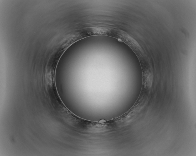 X0000113940329200909251245