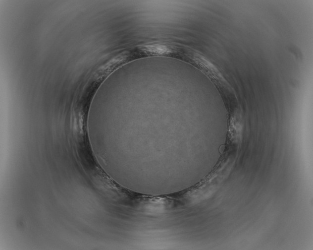 X0000113940330200909251245