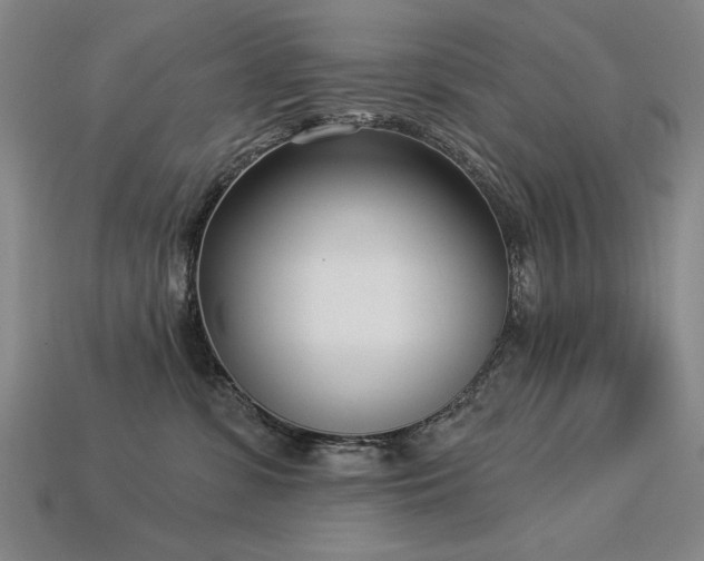 X0000113940331200909251245