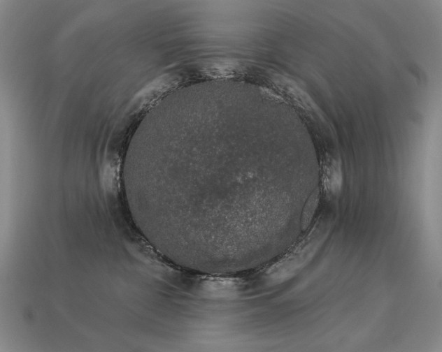 X0000113940332200909251245