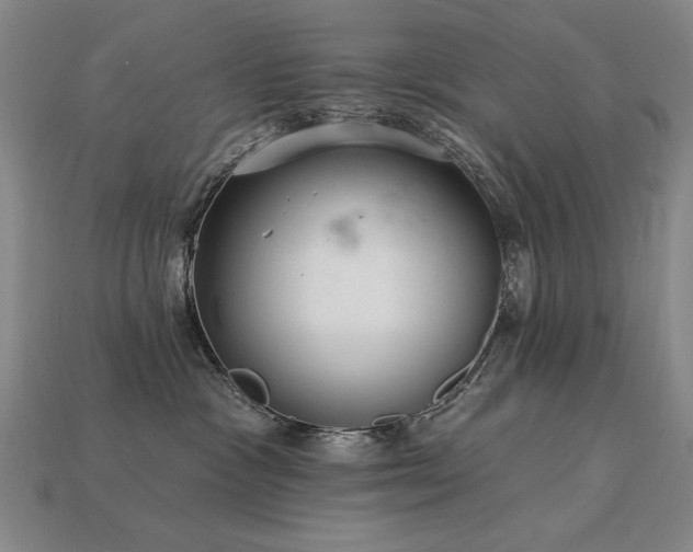 X0000113940333200909251245