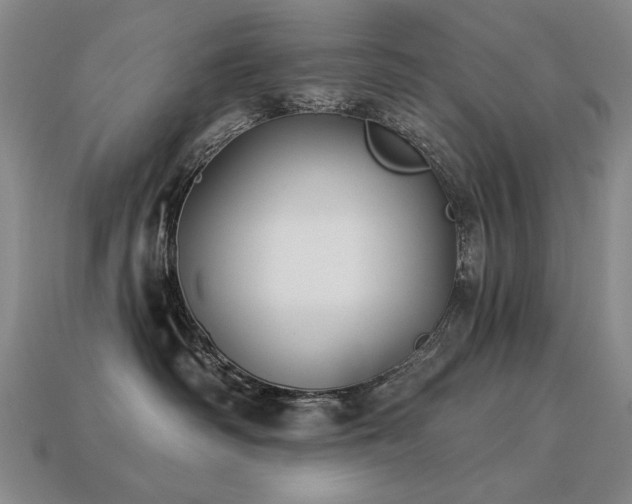 X0000113940334200909251245