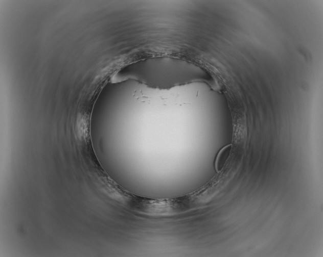 X0000113940335200909251245