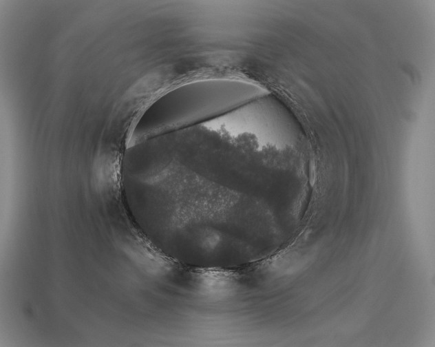 X0000113940336200909251245