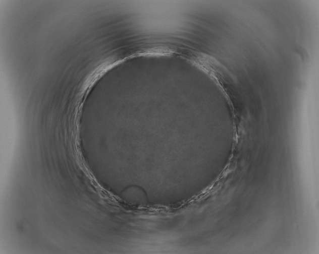 X0000113940337200909251245