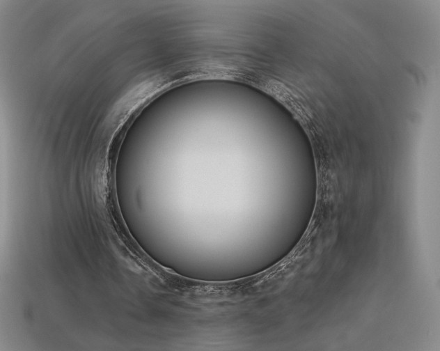 X0000113940338200909251245