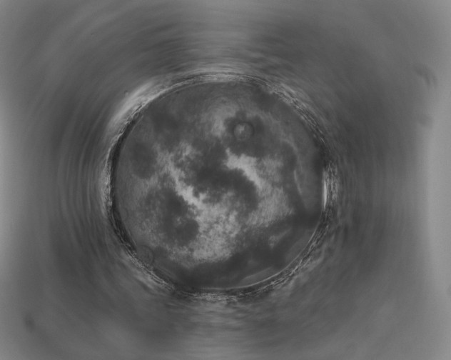 X0000113940339200909251245