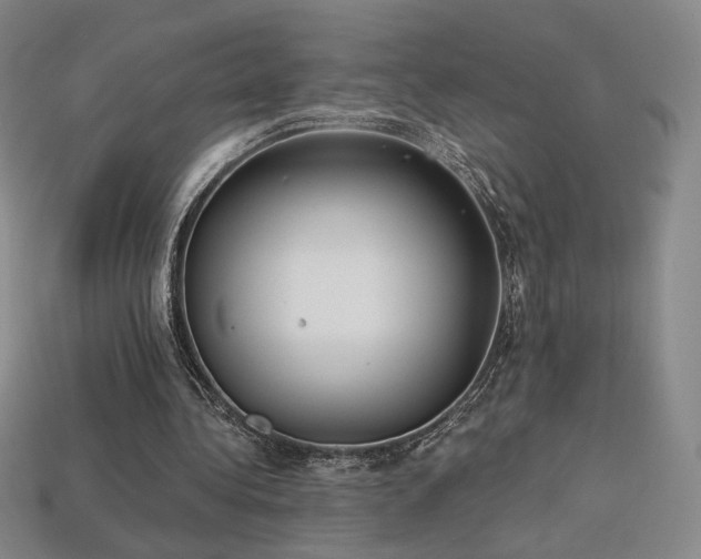 X0000113940340200909251245