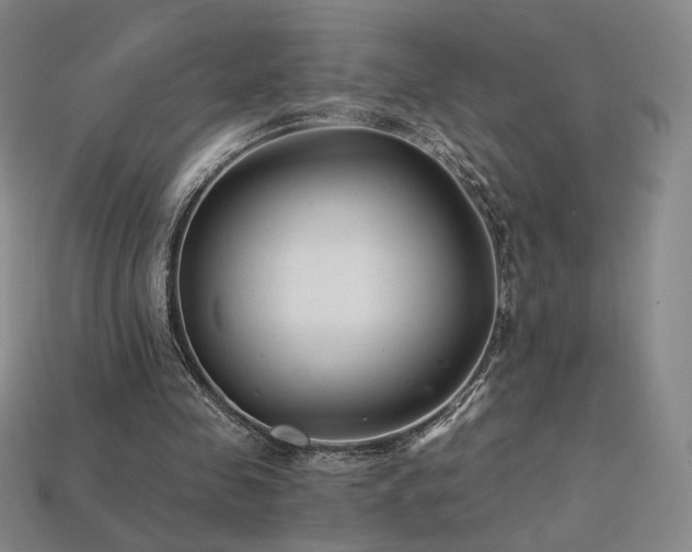 X0000113940341200909251245